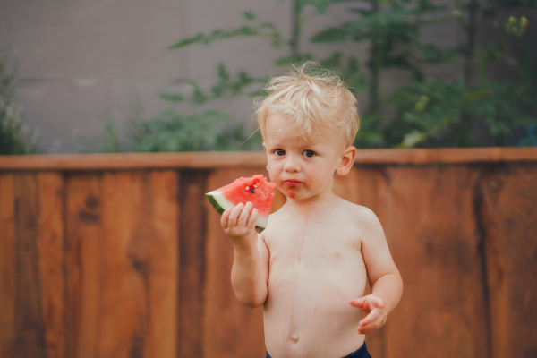 A cute little boy eating watermelon in garden in summer.