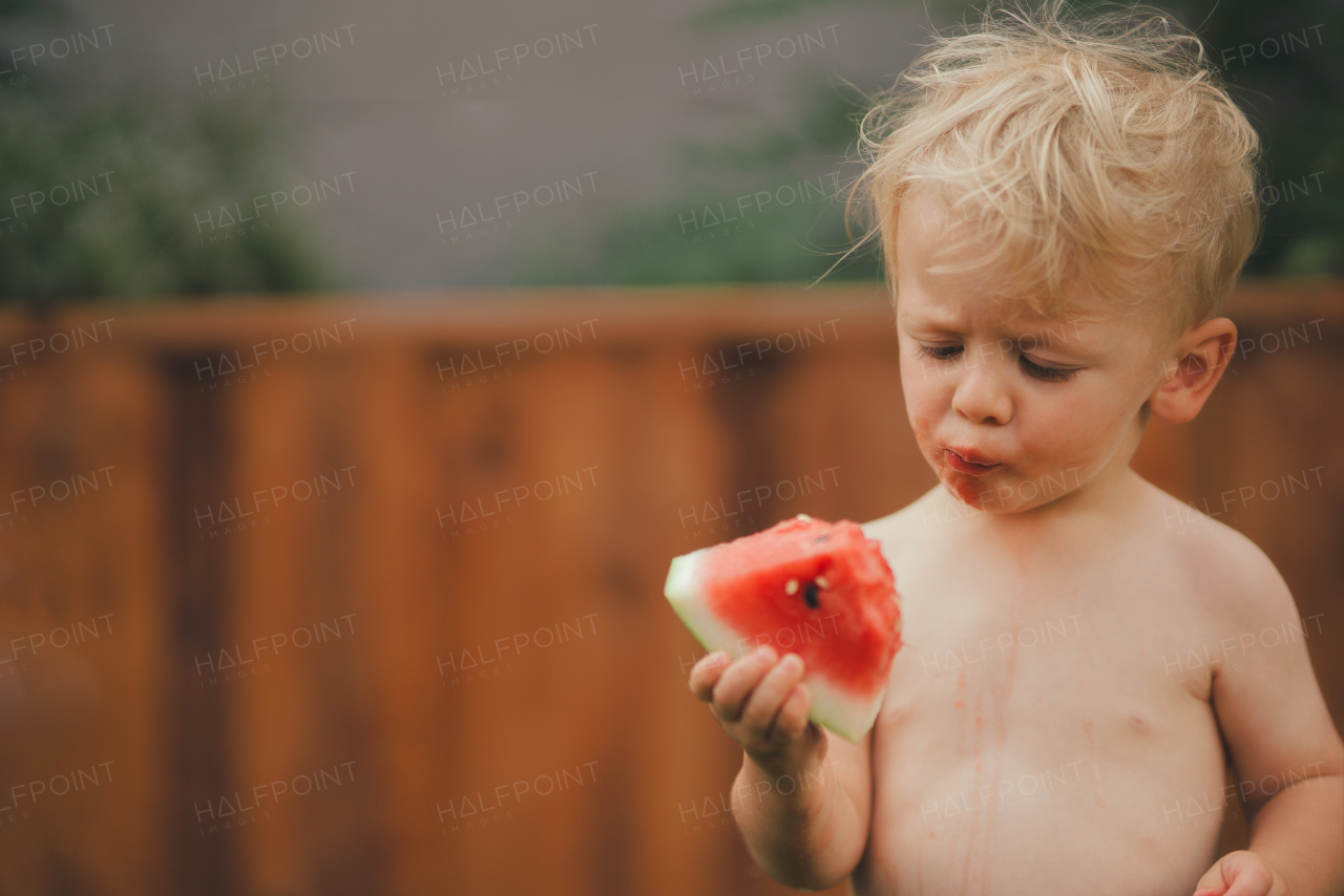 A cute little boy eating watermelon in garden in summer.