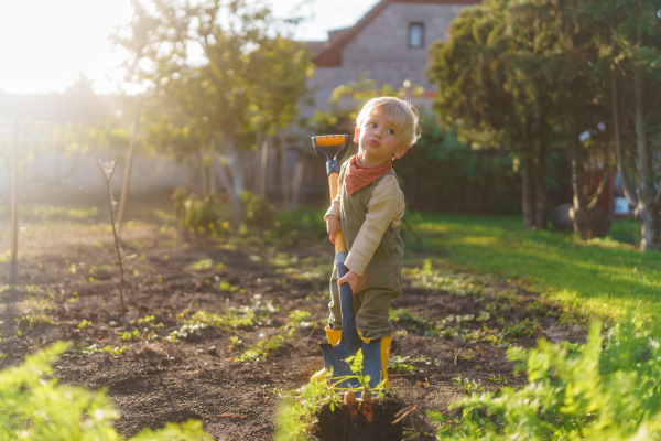 Little boy with a spade working in garden during autumn day.