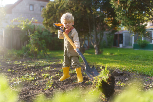 Little boy with a spade working in garden during autumn day.