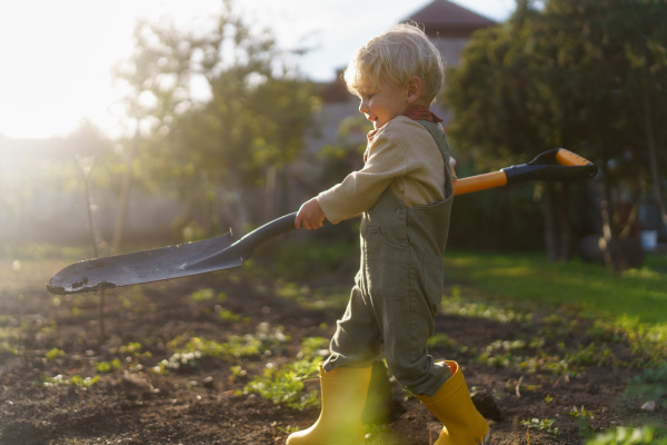 Little boy with a spade working in garden during autumn day.