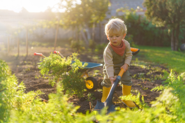 Little boy with a spade working in garden during autumn day.