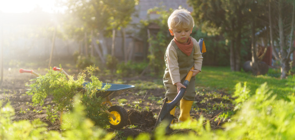 Little boy with a spade working in garden during autumn day.