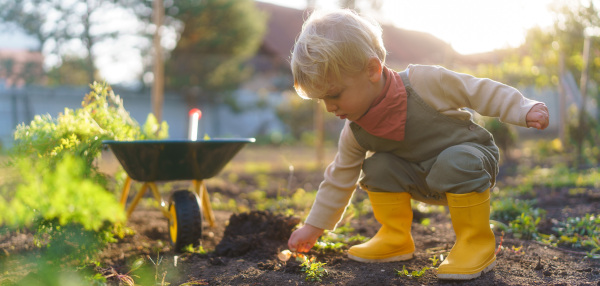 Little boy working in a garden during autumn day.