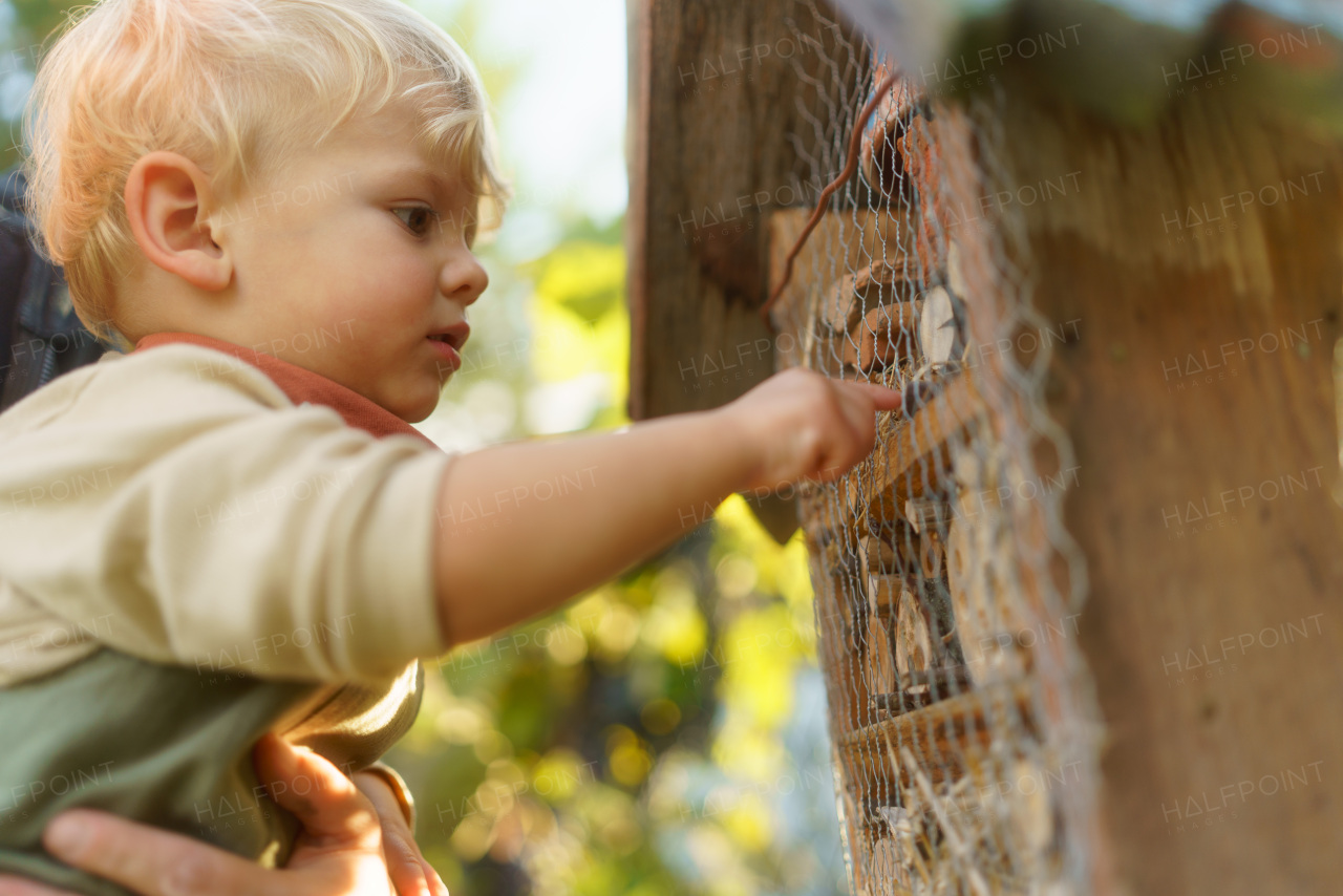 Little boy looking at insect house. Concept of home education, ecology gardening and sustainable lifestyle.