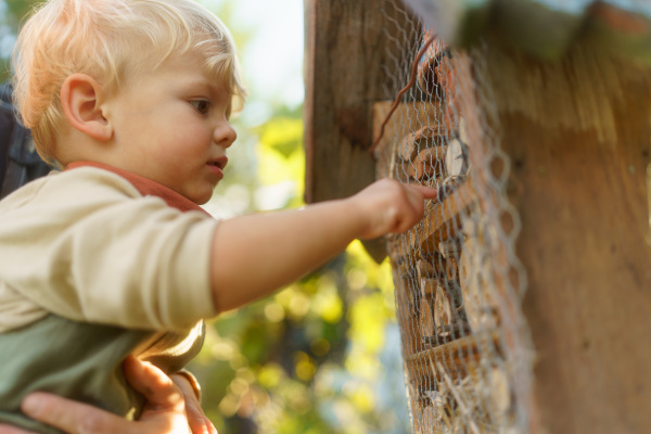 Little boy looking at insect house. Concept of home education, ecology gardening and sustainable lifestyle.