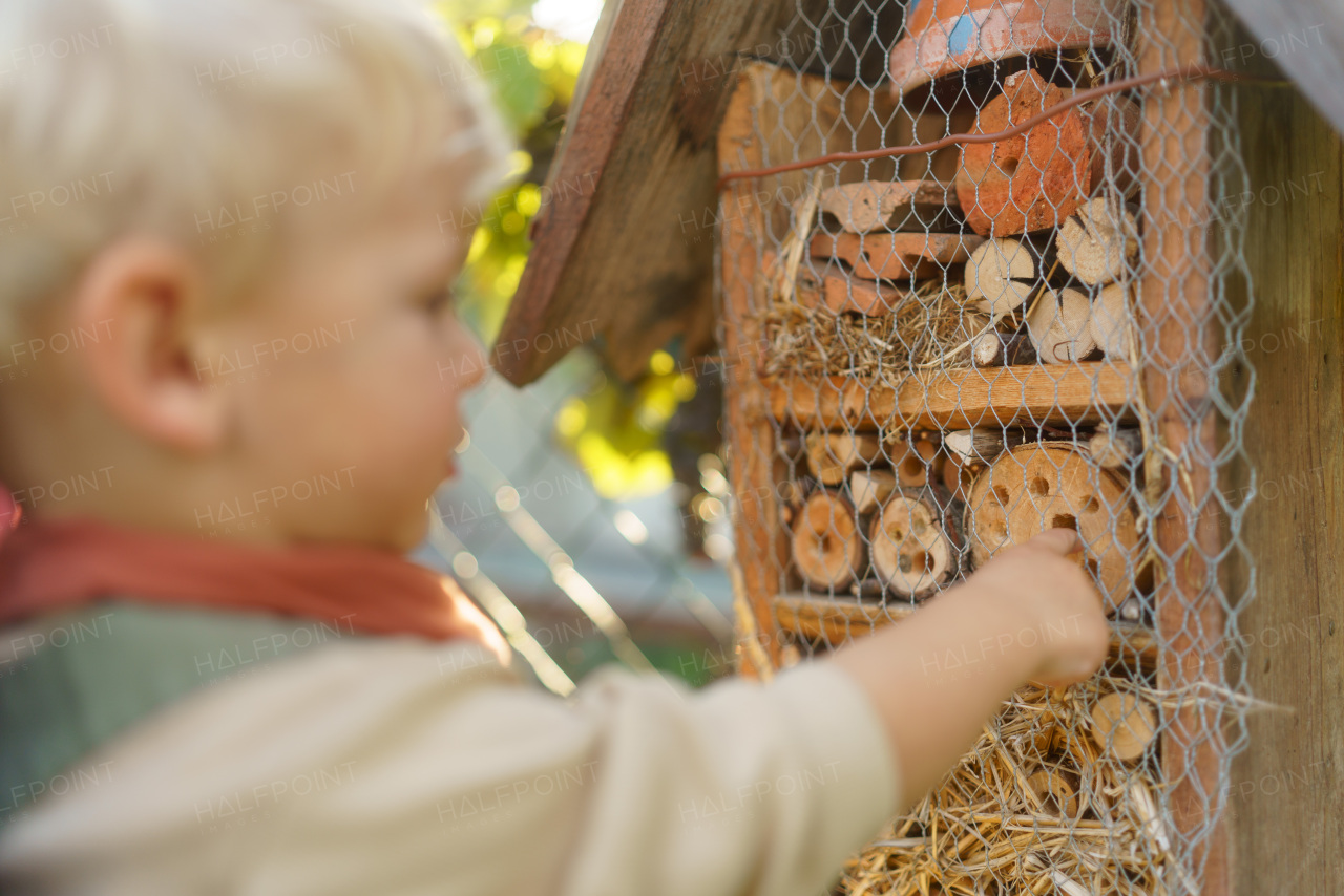 Little boy looking at insect house. Concept of home education, ecology gardening and sustainable lifestyle.