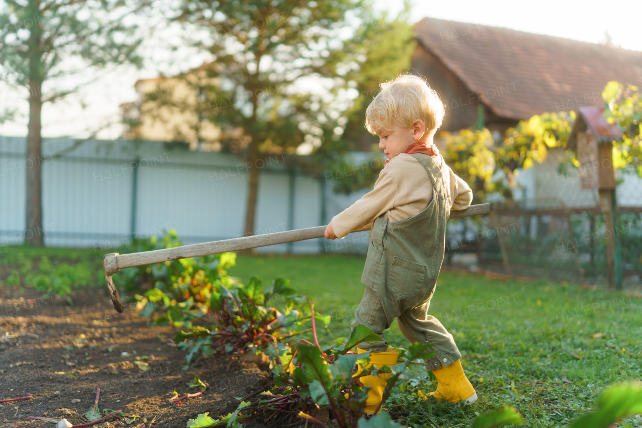 Little boy with a hoe working in garden during autumn day.