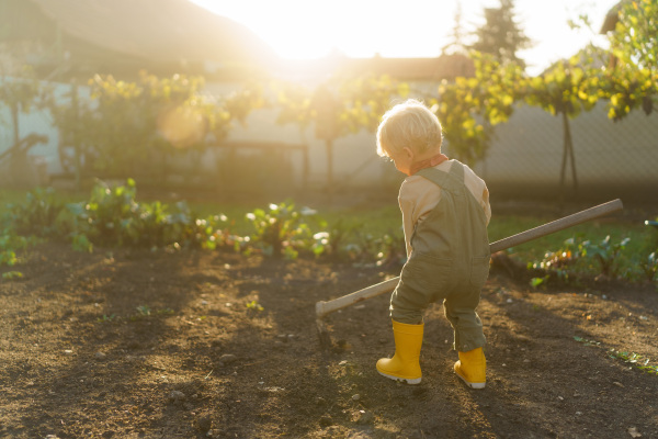 Little boy with a hoe working in garden during autumn day.