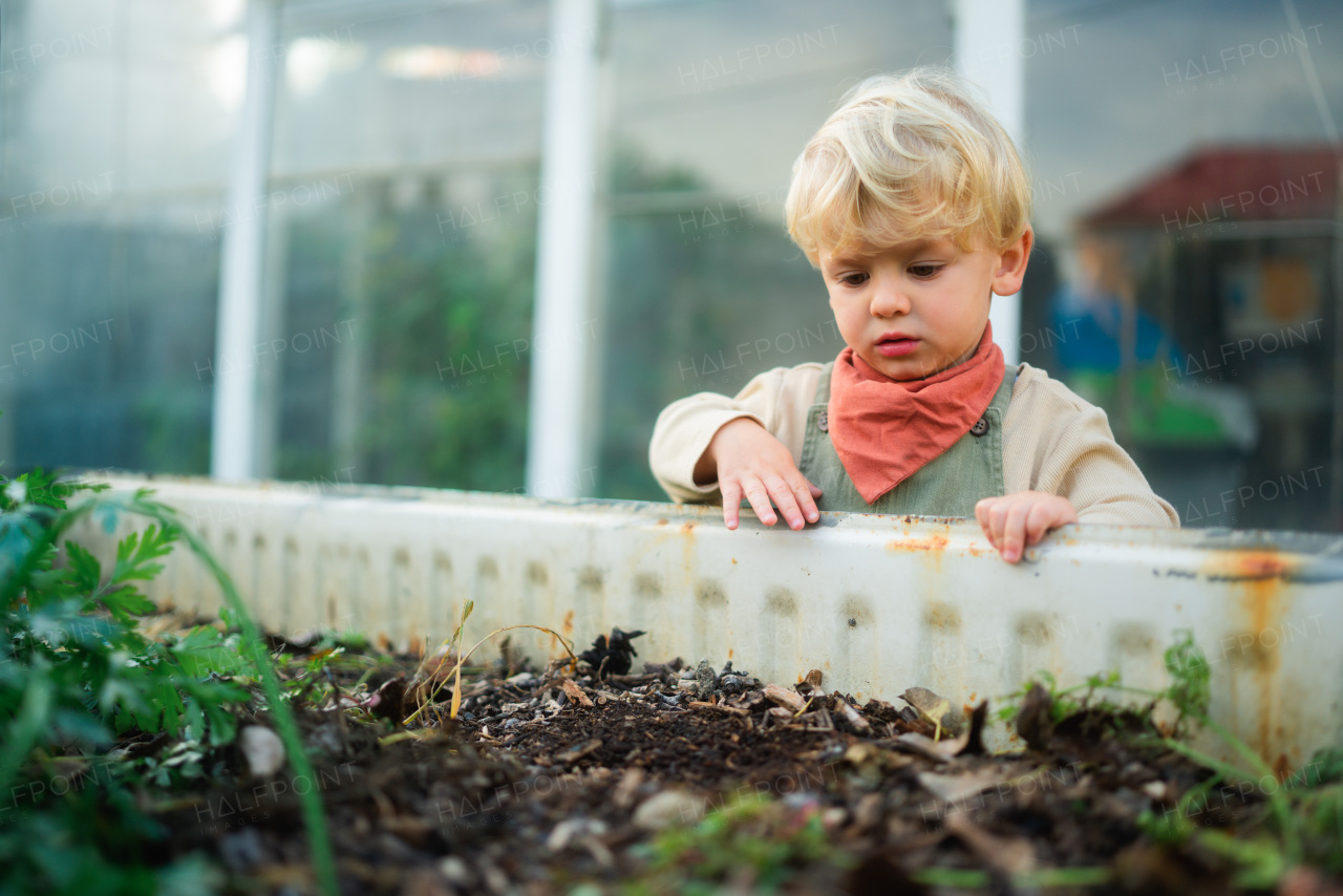 Little boy standing next to outdoor compost in the garden.