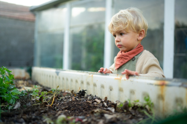 Little boy standing next to outdoor compost in the garden.