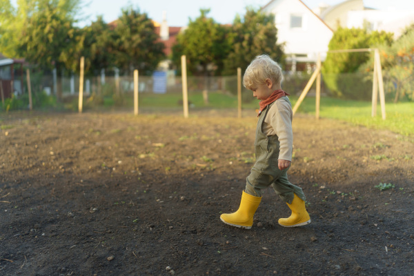 Little child walking in their agriculture garden.