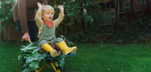 Little boy sitting at a wheelbarrow with harvest vegetable, having fun.