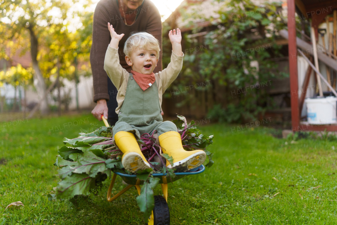 Little boy sitting at a wheelbarrow with harvest vegetable, having fun.