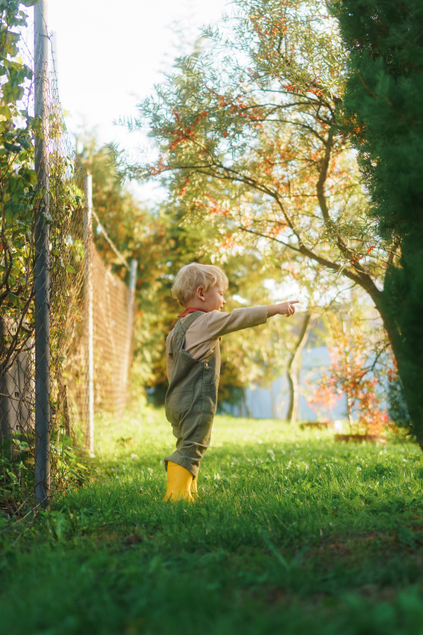 Portrait of little boy standying in the autumn garden during sunset.