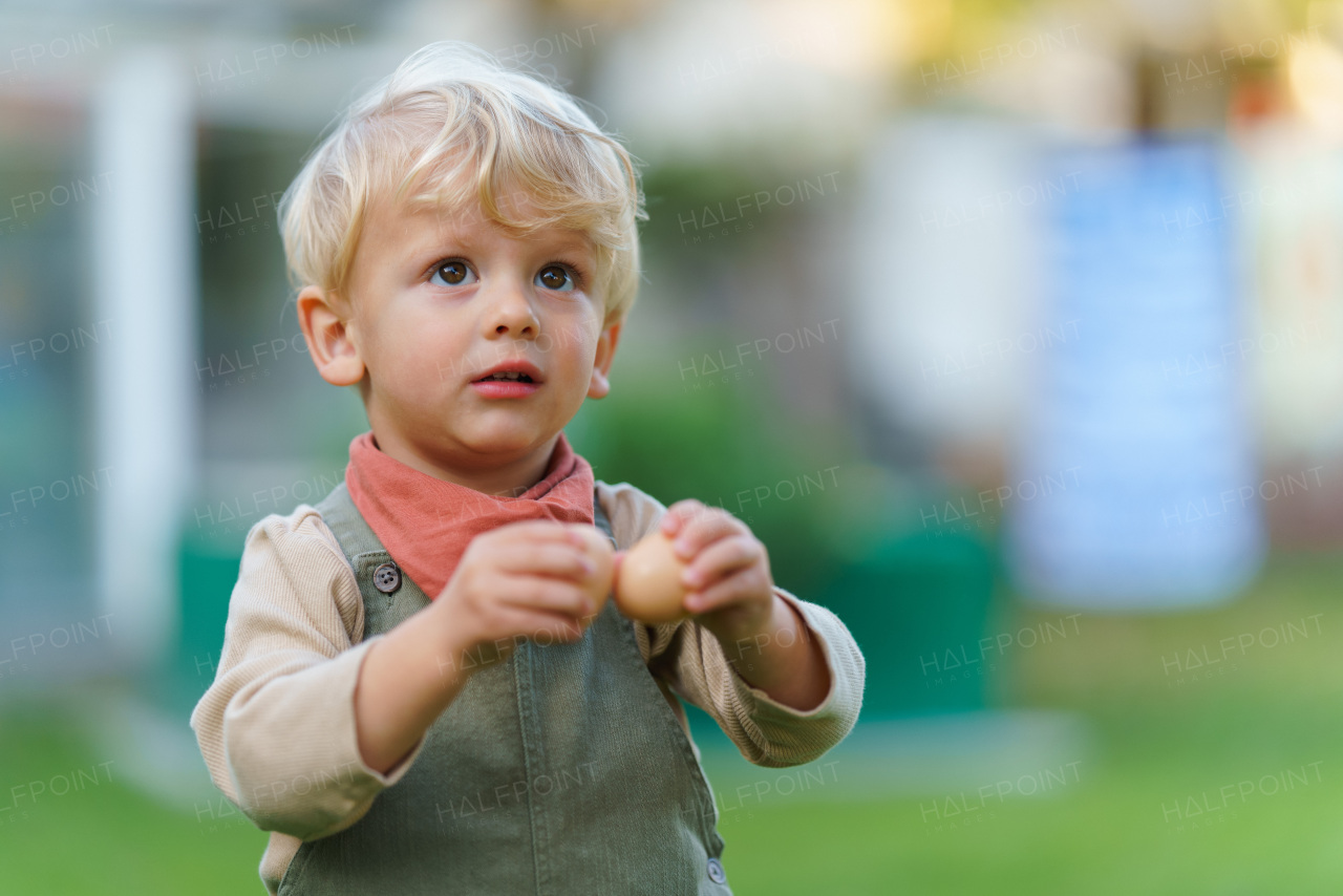 Portrait of happy little boy holding fresh eggs in the garden.