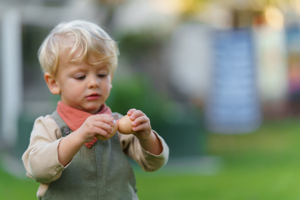 Portrait of happy little boy holding fresh eggs in the garden.