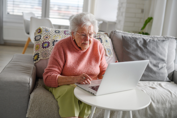 Online scams targeting seniors. Scammer sending email to elderly woman, asking for money, demanding personal, sensitive informations without any verification.