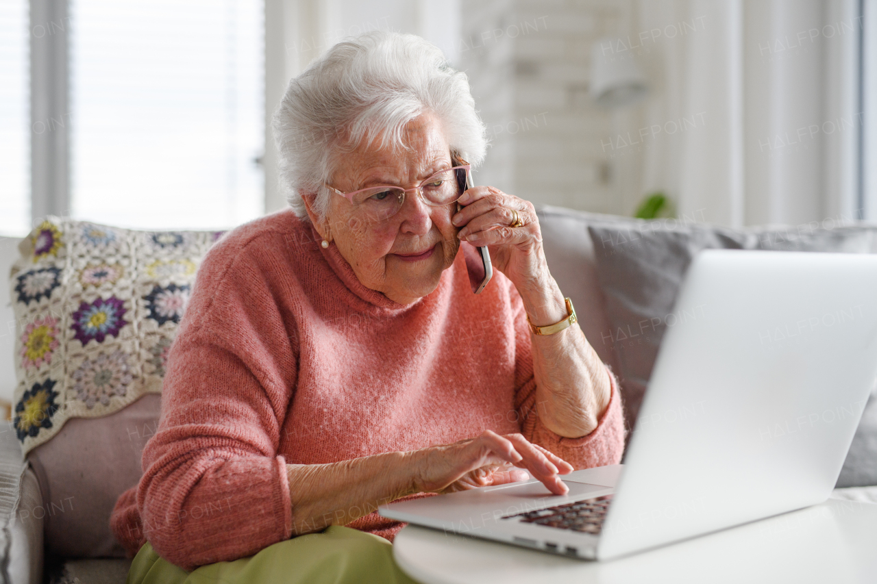 Senior woman working with laptop, shopping online, making call. Importance of digital literacy for an elderly people.