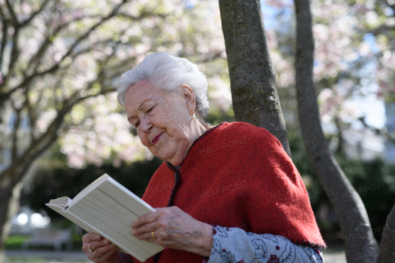 Elderly woman reading book outdoor, in park, having relaxing moment. Grandmother reading the bible in the cemetery.