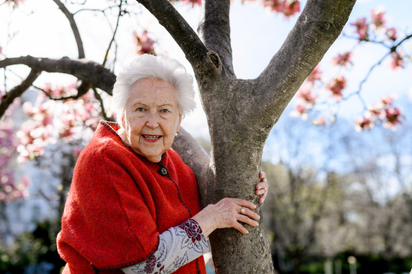 Portrait of beautiful elderly woman standing by magnolia tree, in park, having relaxing moment. Grandmother enjoying warm spring weather.