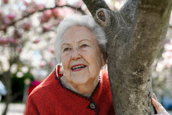 Portrait of beautiful elderly woman standing by magnolia tree, in park, having relaxing moment. Grandmother enjoying warm spring weather.