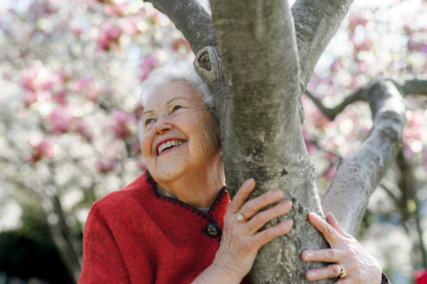 Portrait of beautiful elderly woman standing by magnolia tree, in park, having relaxing moment. Grandmother enjoying warm spring weather.