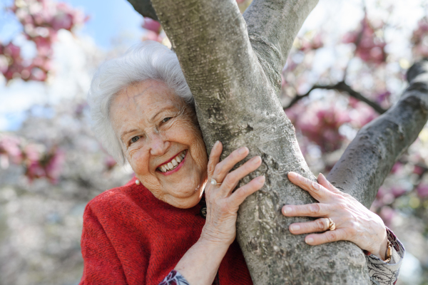 Portrait of beautiful elderly woman standing by magnolia tree, in park, having relaxing moment. Grandmother enjoying warm spring weather.