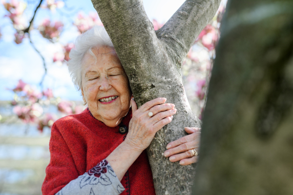 Portrait of beautiful elderly woman standing by magnolia tree, in park, having relaxing moment. Grandmother enjoying warm spring weather.