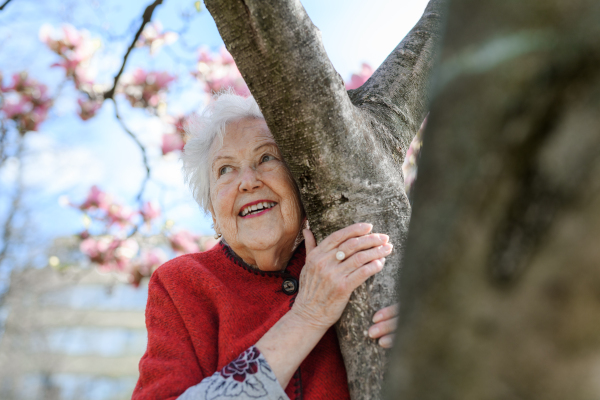 Portrait of beautiful elderly woman standing by magnolia tree, in park, having relaxing moment. Grandmother enjoying warm spring weather.