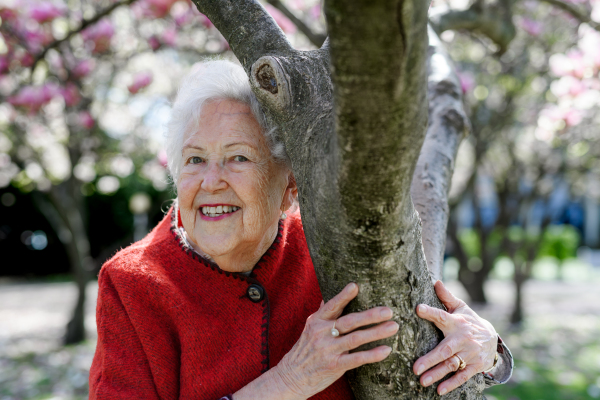 Portrait of beautiful elderly woman standing by magnolia tree, in park, having relaxing moment. Grandmother enjoying warm spring weather.