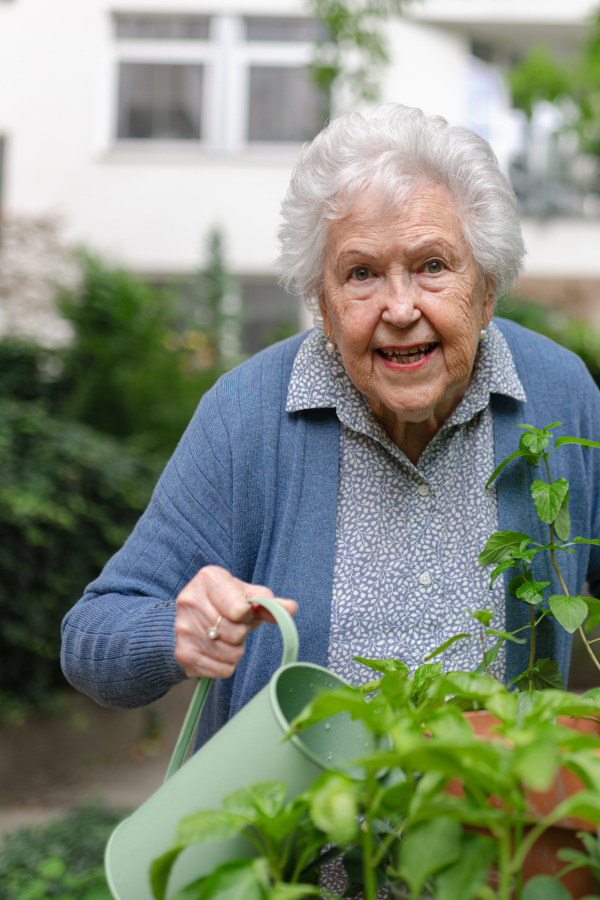 Portrait of senior woman taking care of plants in garden. Watering seedlings, herbs with harvested rainwater.