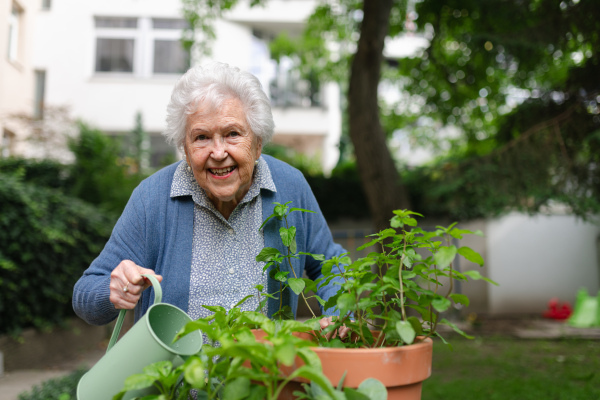 Portrait of senior woman taking care of plants in garden. Watering seedlings, herbs with harvested rainwater.