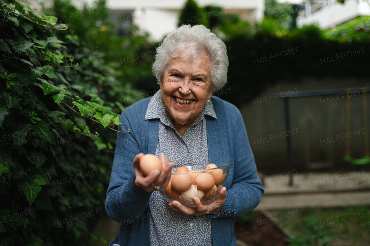 Elderly woman holding bowl full of farm fresh eggs. Happy old farmer is delighted collected homegrown eggs. Sense of purpose.