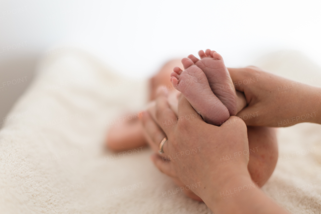 A mother holds newborn baby's bare feet. Tiny feet in woman's hand, close-up