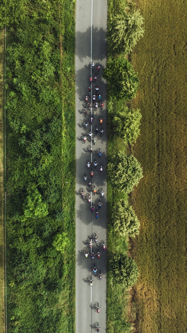 Top view of cycling races. Professional cyclists biking on the road during hot summer day.