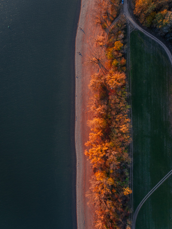 Top view of lake shore, surrounded by autumn forest with sand beach, coastline.