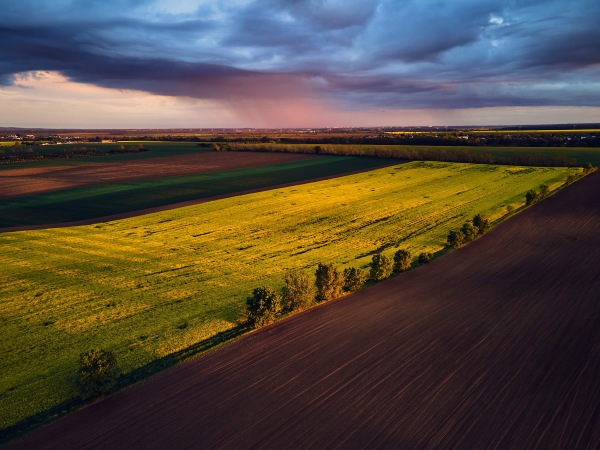 Aerial view of green summer farm fields, crops or pasture with during sunset or sunrise.