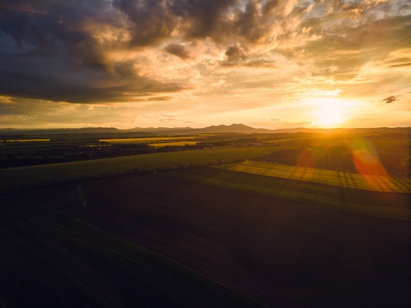 Aerial view of a meadows, forest and fields during sunset.