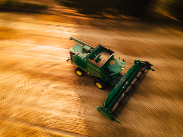 Aerial view of a harvester working on field. Agriculture and cultivation of industrial farms. Agribusiness.