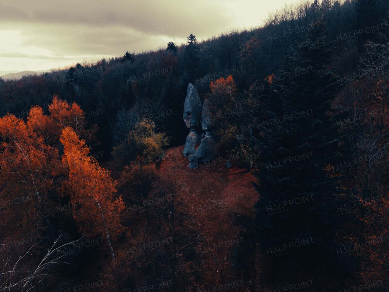 Aerial view of autumn forest with balancing rock in the middle of trees.