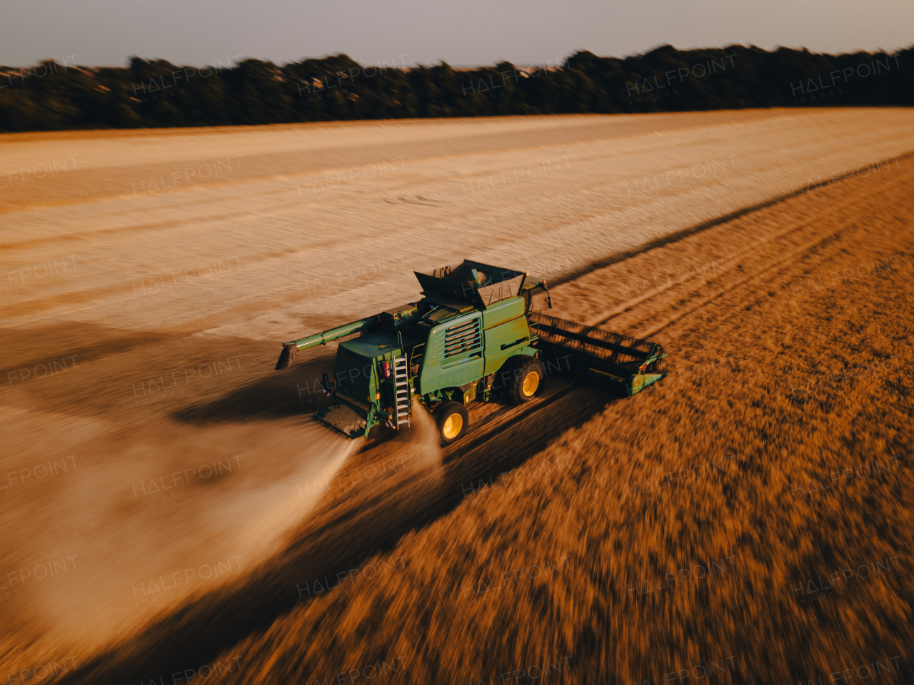 Aerial view of a harvester working on field. Agriculture and cultivation of industrial farms. Agribusiness.