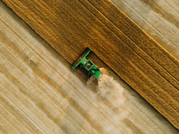 Aerial view of a harvester working on field. Agriculture and cultivation of industrial farms. Agribusiness.