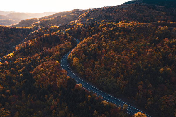 Aerial view of a autumn forest with road in the middle of trees. Winding mountain road inside colorful fall forest.