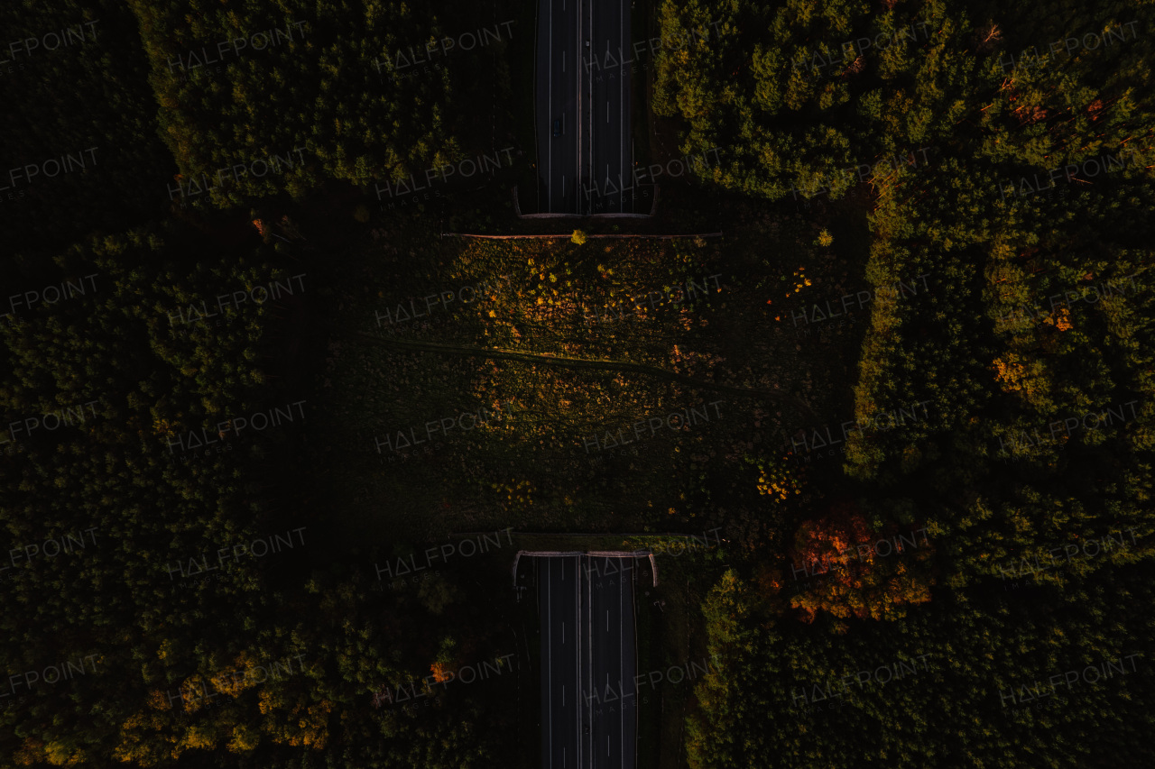 Aerial view of modern highway in the middle of forest, nature. Road tunnel with wildlife crossing above highway.