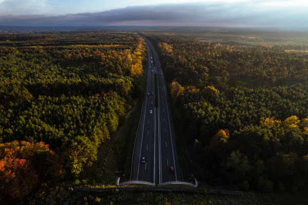 Aerial view of modern highway in the middle of forest, nature. Road tunnel with wildlife crossing above highway.