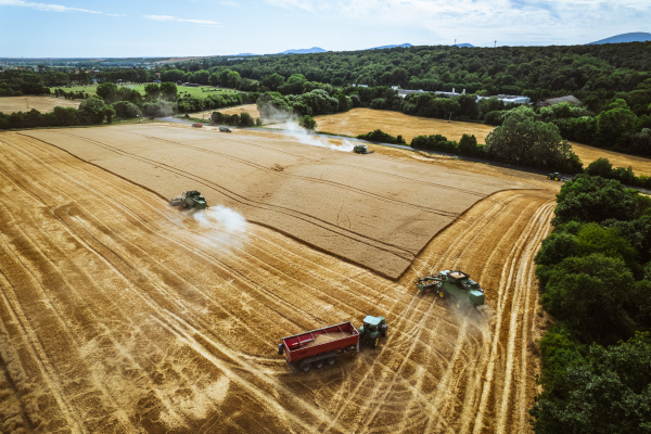 Aerial view of a tractor a harvester working on field. Agriculture and cultivation of industrial farms. Agribusiness.