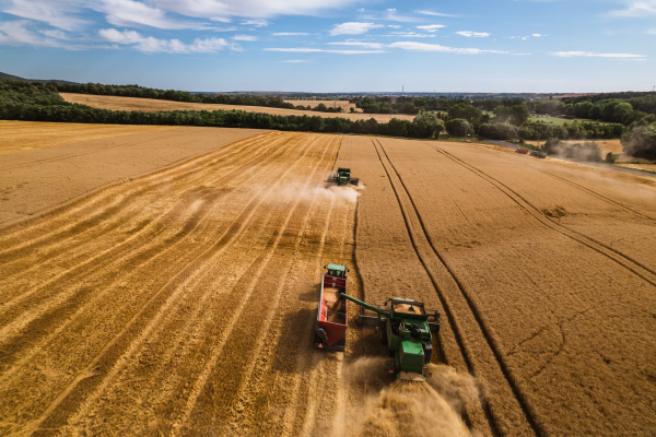 Aerial view of a tractor a harvester working on field. Agriculture and cultivation of industrial farms. Agribusiness.