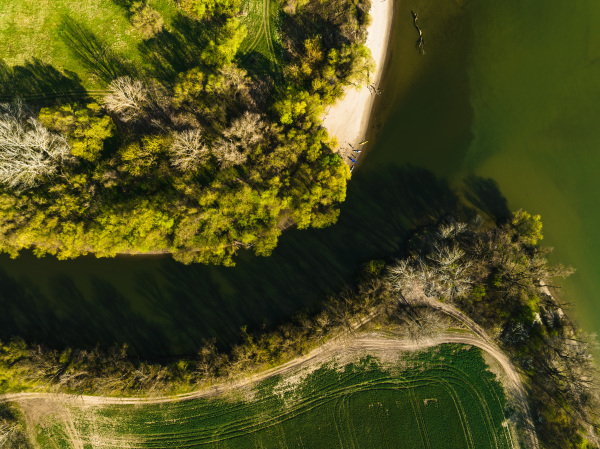 Top view of river delta with lake shore, surrounded by forest with sand beach, coastline.