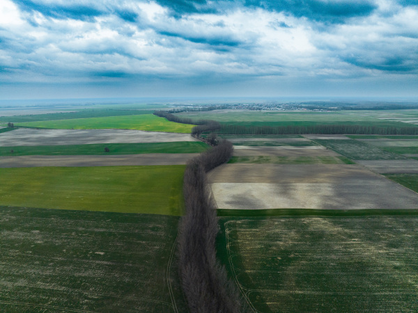 Aerial view of green summer farm fields, crops or pasture with road and mountains.